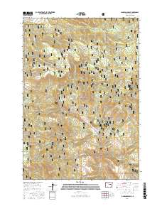 Johnson Saddle 2017 topographic map thumbnail