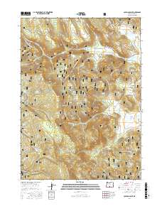 Coleman Point 2017 topographic map thumbnail
