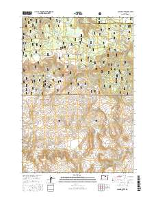 Collins Butte 2017 topographic map thumbnail