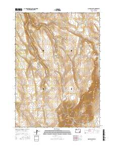 Comegys Lake 2017 topographic map thumbnail