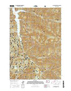 Cougar Reservoir 2017 topographic map thumbnail