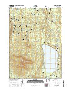 Diamond Lake 2017 topographic map thumbnail