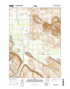 Diamond Swamp 2017 topographic map thumbnail