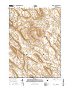 Diatomite Reservoir 2017 topographic map thumbnail