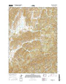 Dixonville 2017 topographic map thumbnail