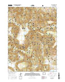Dog Lake 2017 topographic map thumbnail