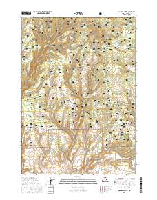 Donnelly Butte 2017 topographic map thumbnail
