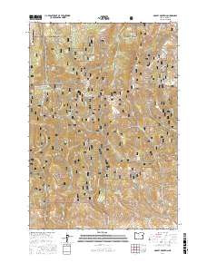 Dooley Mountain 2017 topographic map thumbnail