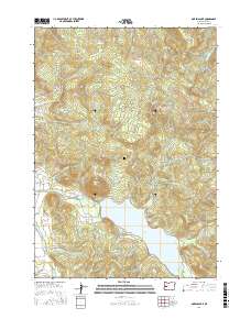 Dorena Lake 2017 topographic map thumbnail
