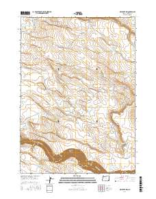 Dry Creek Rim 2017 topographic map thumbnail