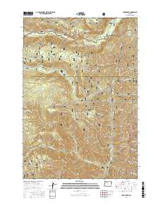 Duck Creek 2017 topographic map thumbnail