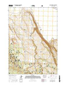 Duncan Reservoir 2017 topographic map thumbnail