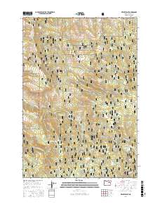Keeney Point 2017 topographic map thumbnail