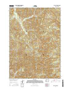 Kelly Butte 2017 topographic map thumbnail