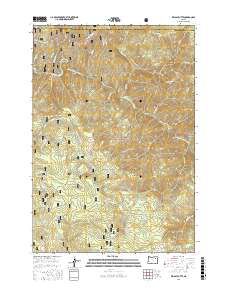 Kelsay Butte 2017 topographic map thumbnail