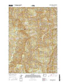 Kenyon Mountain 2017 topographic map thumbnail