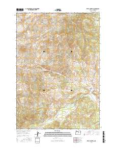 Keyes Mountain 2017 topographic map thumbnail