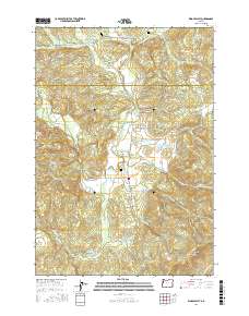Kings Valley 2017 topographic map thumbnail