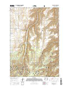 Kinney Lake 2017 topographic map thumbnail