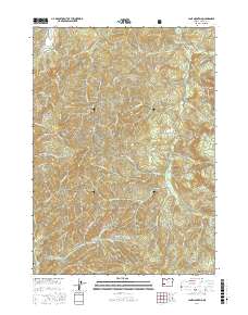 Lane Mountain 2017 topographic map thumbnail