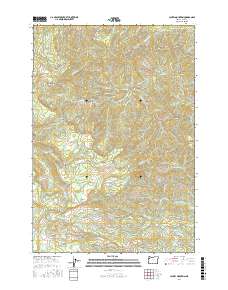 Laurel Mountain 2017 topographic map thumbnail