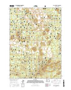 Lava Cast Forest 2017 topographic map thumbnail