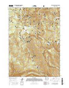 Lee Thomas Crossing 2017 topographic map thumbnail