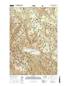 Lehman Springs 2017 topographic map thumbnail
