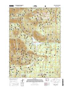 Lemolo Lake 2017 topographic map thumbnail