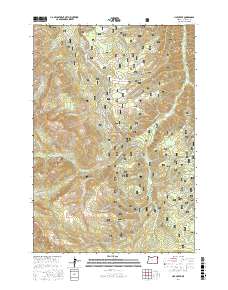 Lick Creek 2017 topographic map thumbnail