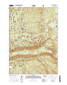 Linton Lake 2017 topographic map thumbnail