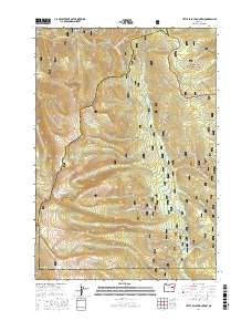 Little Baldy Mountain 2017 topographic map thumbnail