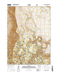 Little Honey Creek 2017 topographic map thumbnail