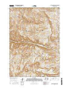 Little Juniper Spring 2017 topographic map thumbnail