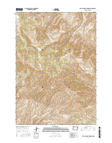 Little Lookout Mountain 2017 topographic map thumbnail