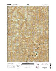 Live Oak Mountain 2017 topographic map thumbnail