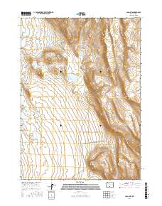 Loco Lake 2017 topographic map thumbnail