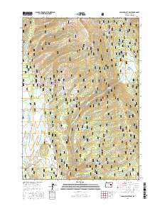 Logan Valley East 2017 topographic map thumbnail