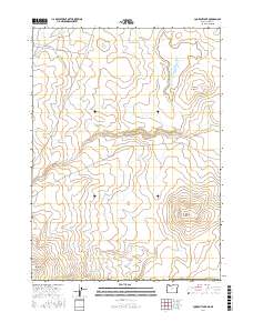 Lookout Lake 2017 topographic map thumbnail