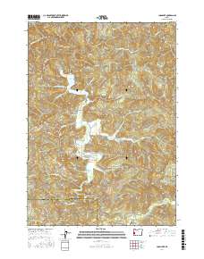 Loon Lake 2017 topographic map thumbnail
