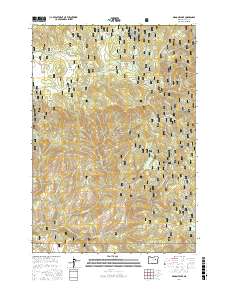 Magone Lake 2017 topographic map thumbnail