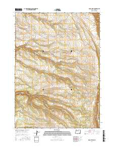McCoy Ridge 2017 topographic map thumbnail