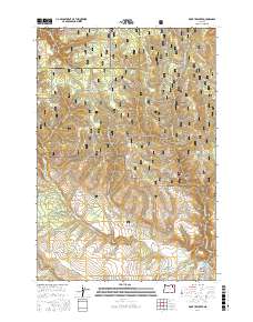 McIntyre Creek 2017 topographic map thumbnail