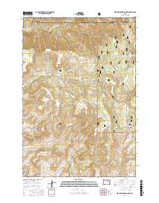 Meadow Brook Summit 2017 topographic map thumbnail