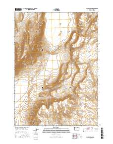 Mickey Springs 2017 topographic map thumbnail