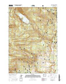Miller Lake 2017 topographic map thumbnail