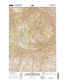 Mormon Basin 2017 topographic map thumbnail