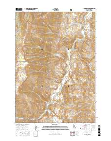 Bald Mountain 2017 topographic map thumbnail