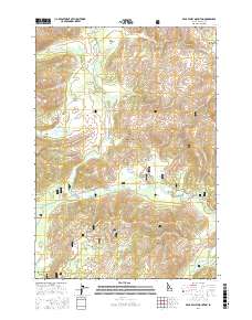 Bear Valley Mountain 2017 topographic map thumbnail