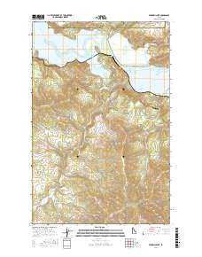 Benewah Lake 2017 topographic map thumbnail